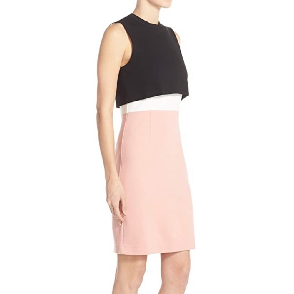 NWT French Connection colorblock dress